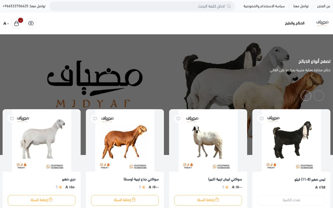 مضياف