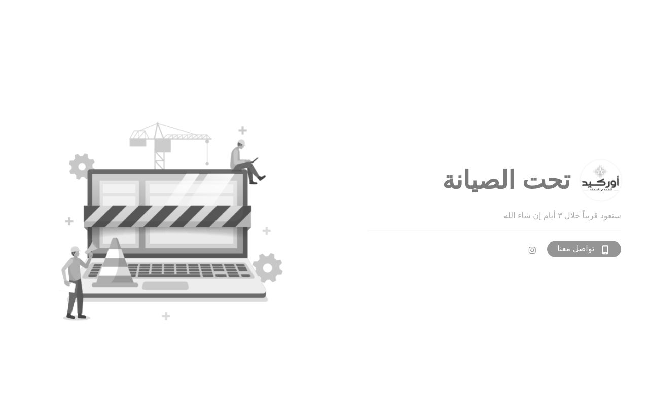 أوركيد