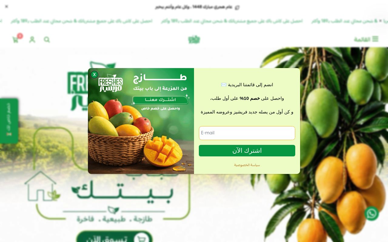 فريشيز FRESHES