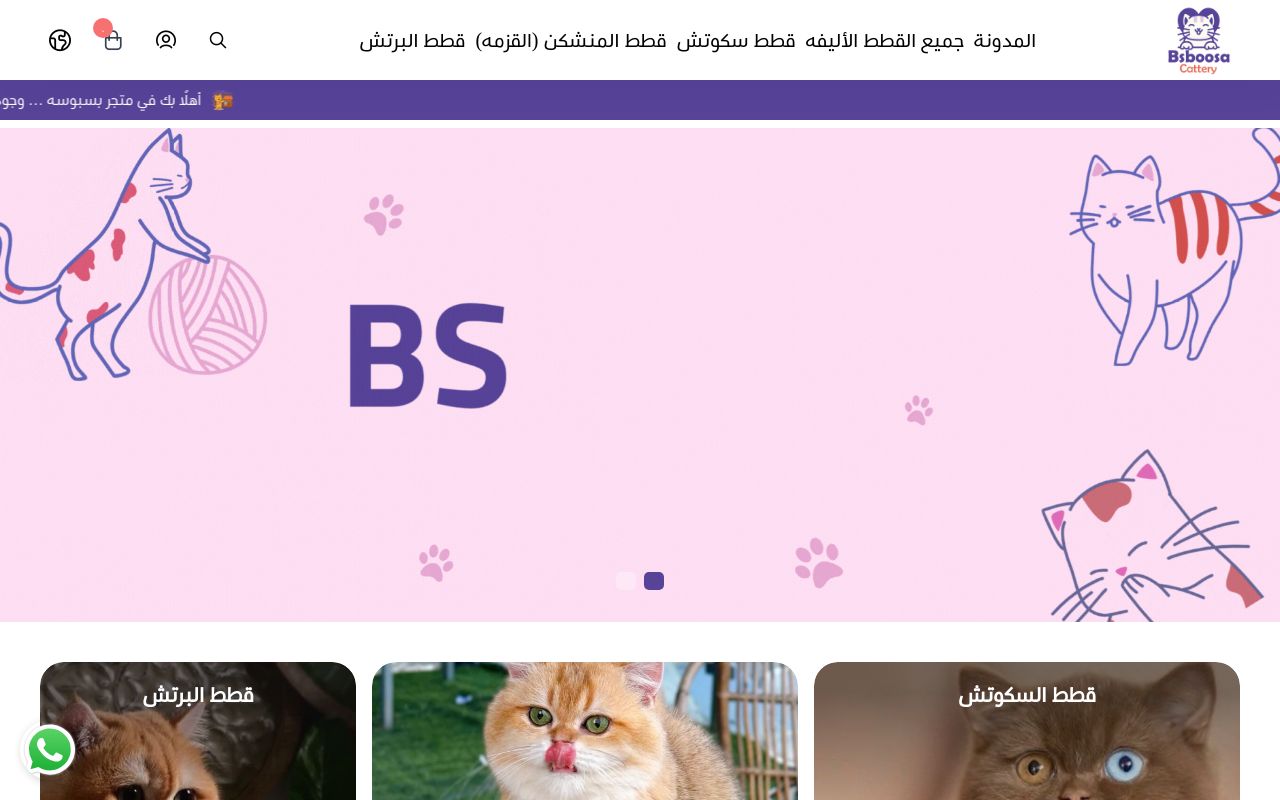 BSBOOSA