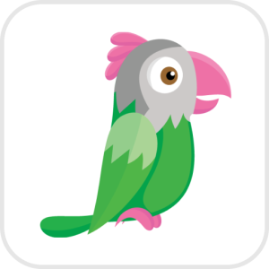 تطبيق Tawk لمتاجر سلة