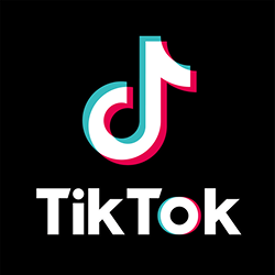 تطبيق TikTok Pixel – Catalog لمتاجر سلة