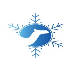 تطبيق قعود نجد لمتاجر سلة