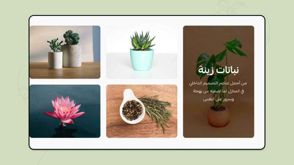 صور مربعة محسنة - (غير مدعوم) سلة