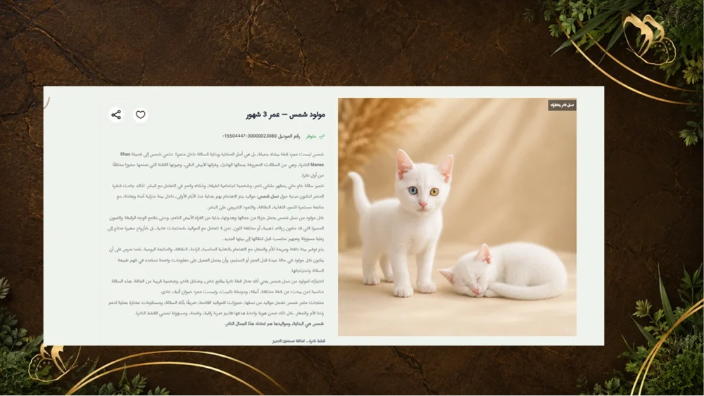 عرض منتج مميز - شمس