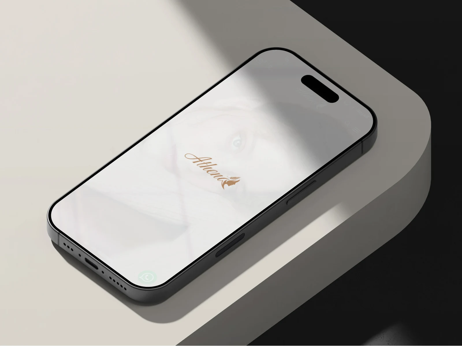 صفحة التحميل