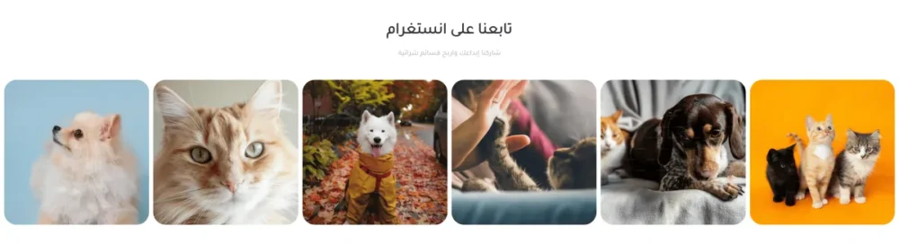 تابعنا على انستغرام (بيتس)