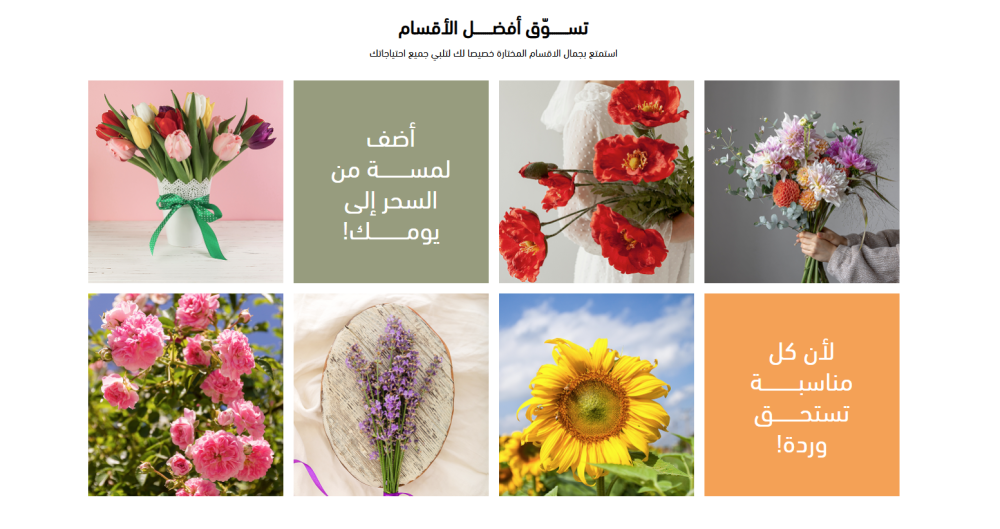 أقسام - فلورا