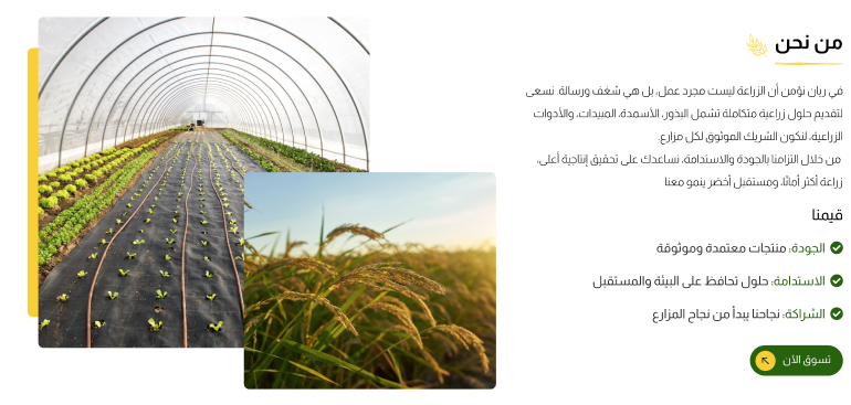 نبذة عن المتجر - ريان