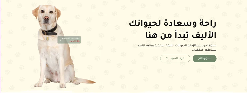 البانر الرئيسي - بيستي