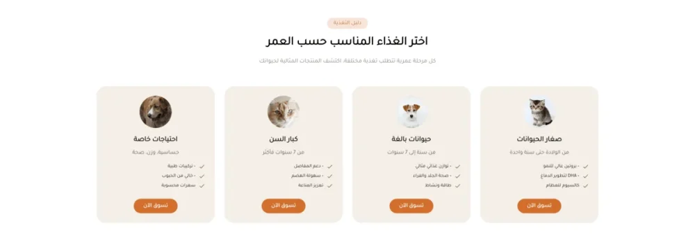 المجموعات (بيتس)