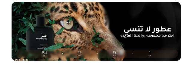 عروض تنتهي قريبًا – غِـٰـِـنْـٰـَـا