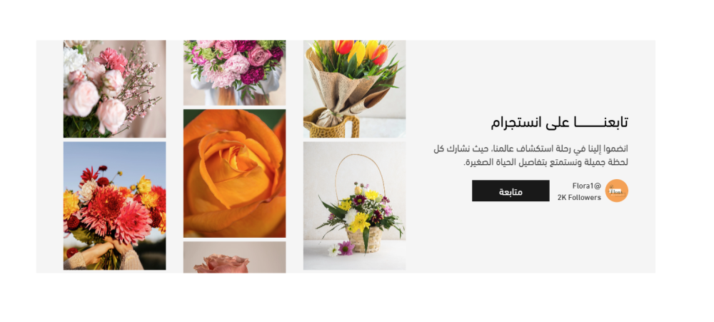 وسائل التواصل - فلورا