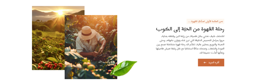 نبذة عن المتجر  - رشفة