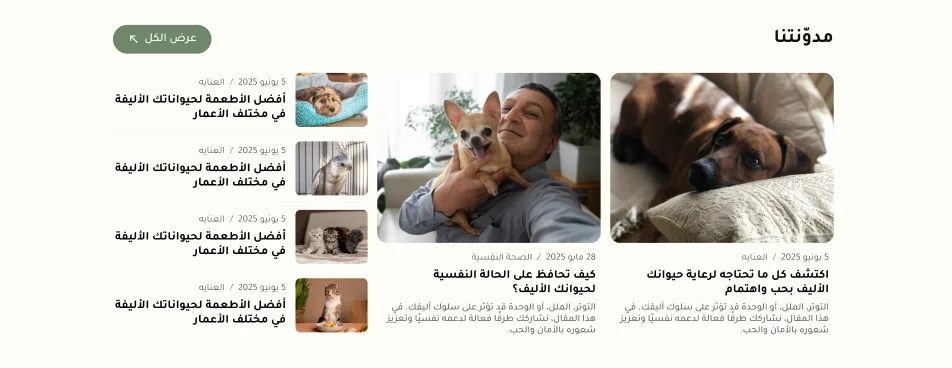 المدونة - بيستي