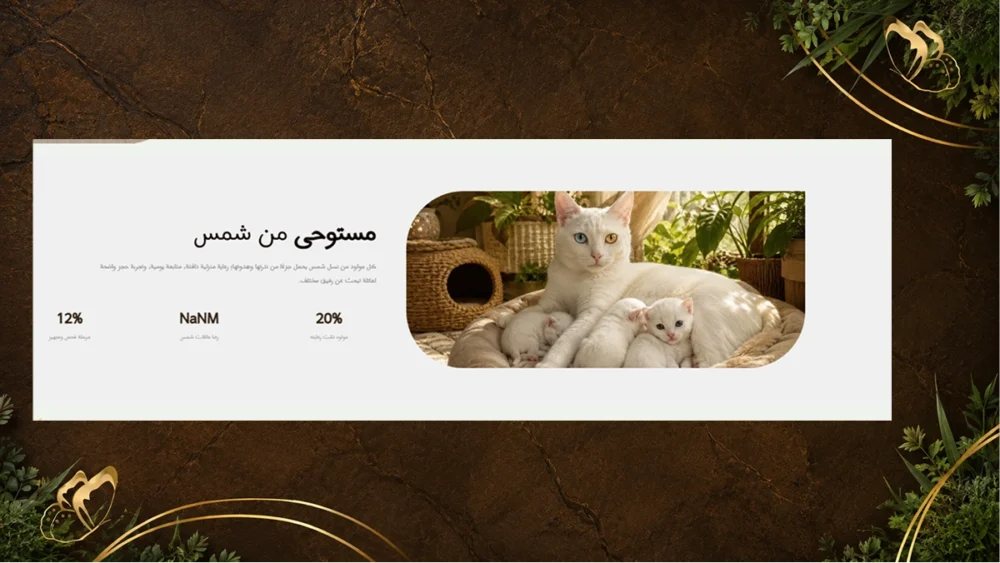 قسم الأرقام والإحصائيات - شمس