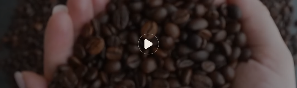 الفيديو الرئيسي - بريستا