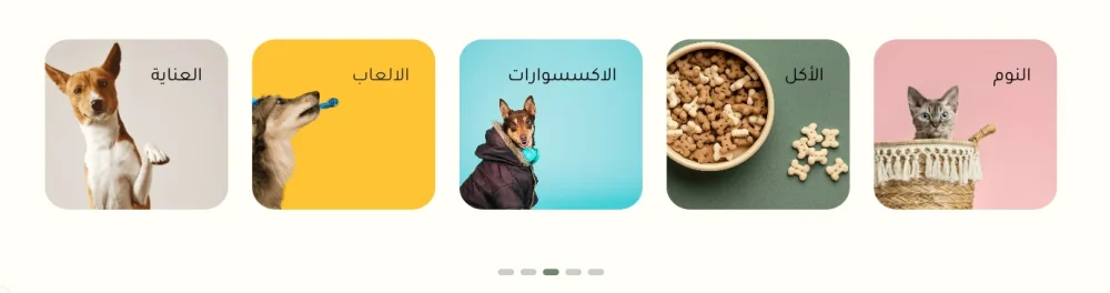 تصنيفات - بيستي