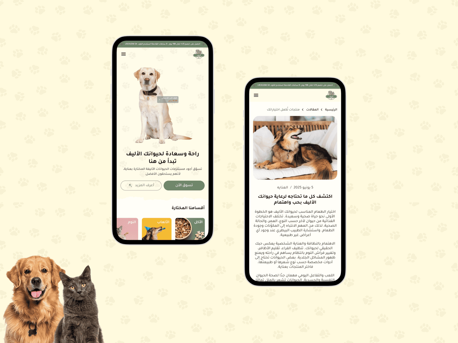 تجربة مستخدم سلسة