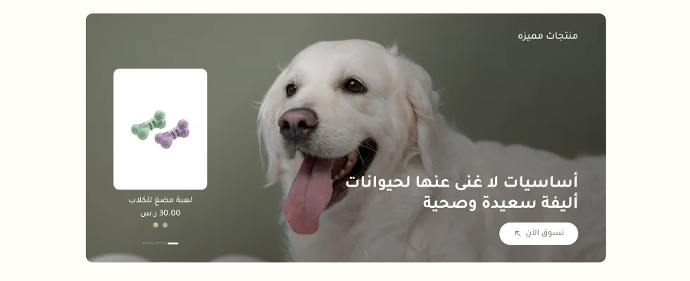 بانر منتجات - بيستي