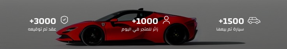 احصائيات - رالي