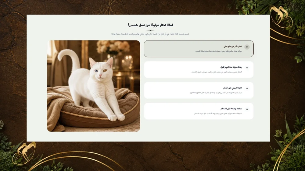 مميزات مع تبديل الصورة - شمس