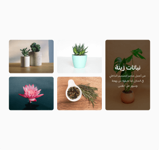 صور مربعة (محسنة)