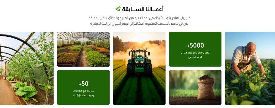 المشاريع - ريان