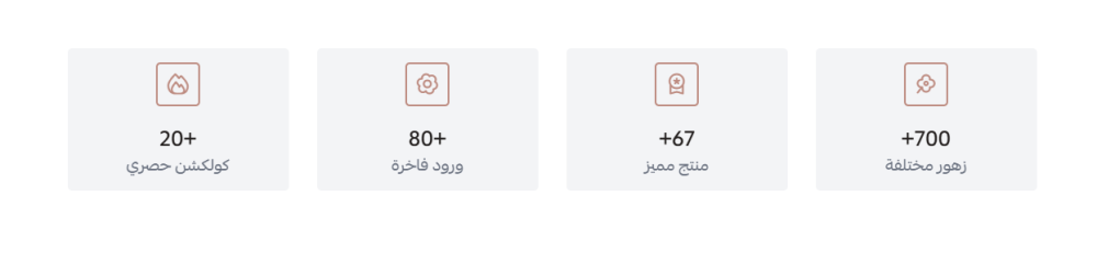 احصائيات (ياسمين)