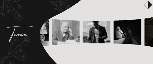 عارض الصور - تميم