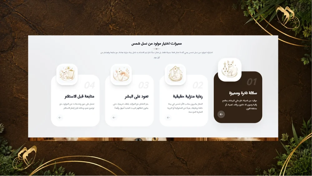 مكون المميزات (كيف يعمل) - شمس