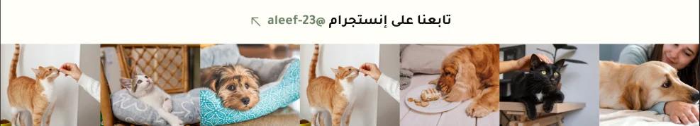 وسائل التواصل - بيستي