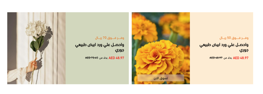 بانر عروض - فلورا