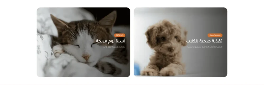 بنرات (بيتس)