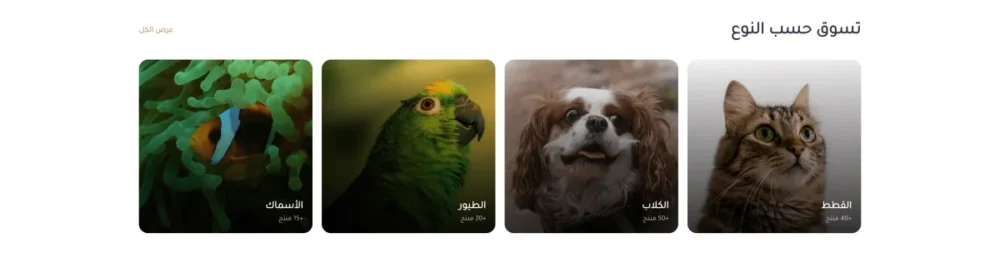 التصنيفات (بيتس)