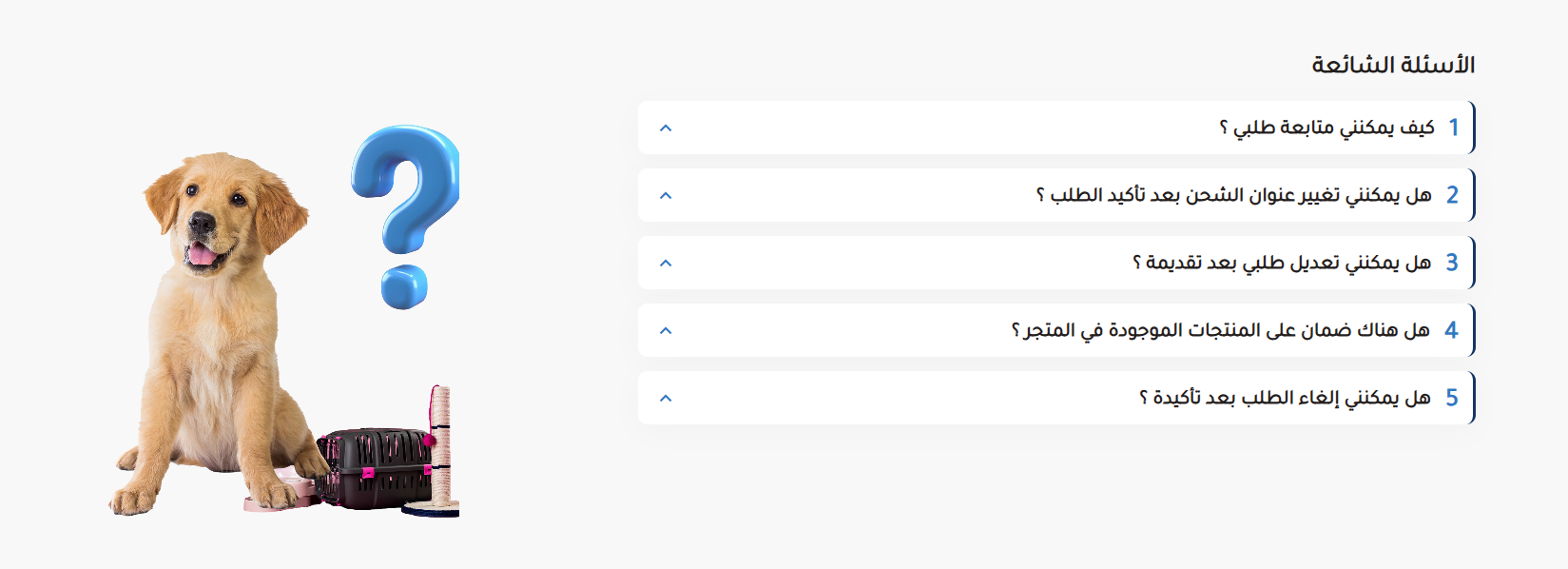 الاسئلة الشائعة