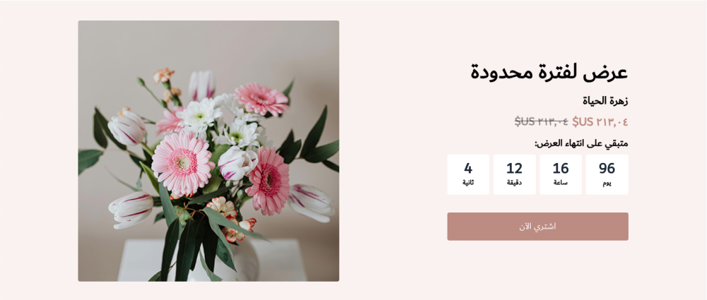 تخفيض مع عد تنازلي (ياسمين)