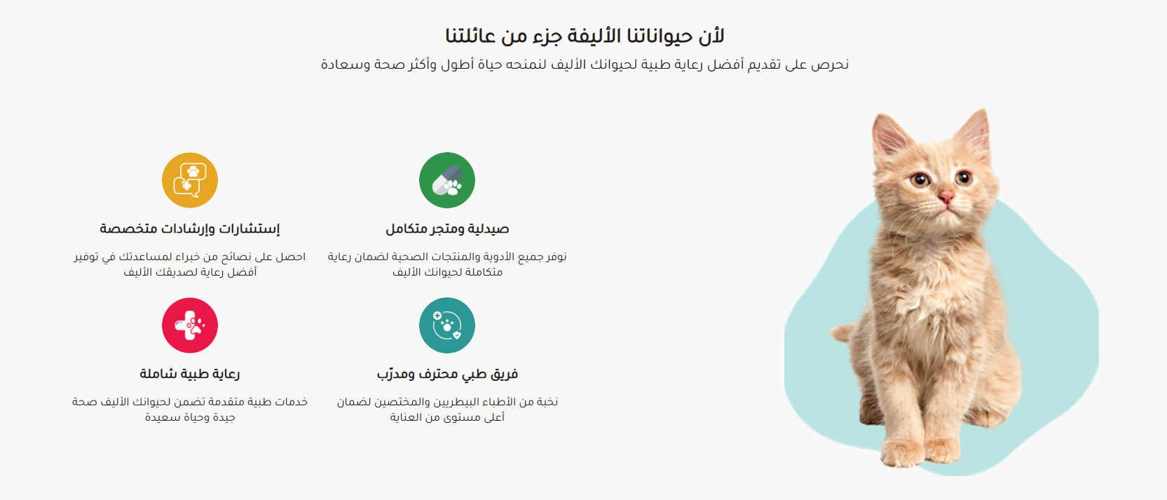 صورة ومميزات