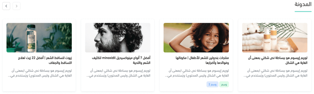 المدونة