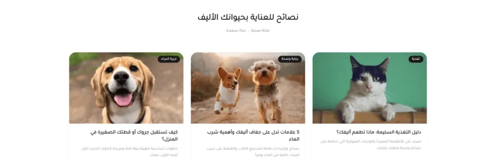 المقالات (بيتس)