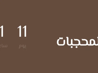 عرض فلاش مع عداد تنازلي (جاليري)