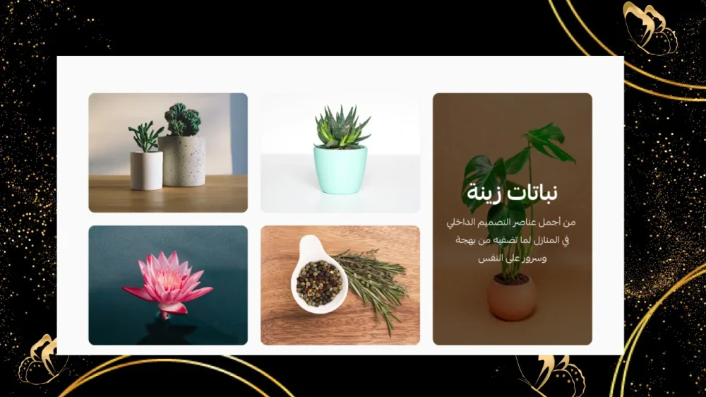 صور مربعة (محسنة)